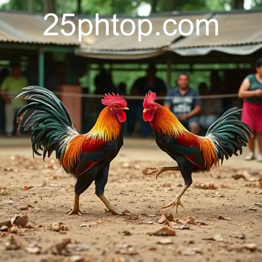 Exploring the Phenomenon of Online Sabong: The Transformation of a Traditional Sport